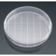 CAJA PETRI DESECHABLE 150*25mm Falcon