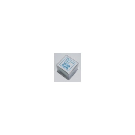CUBREOBJETOS DE VIDRIO 22*22mm Luzeren