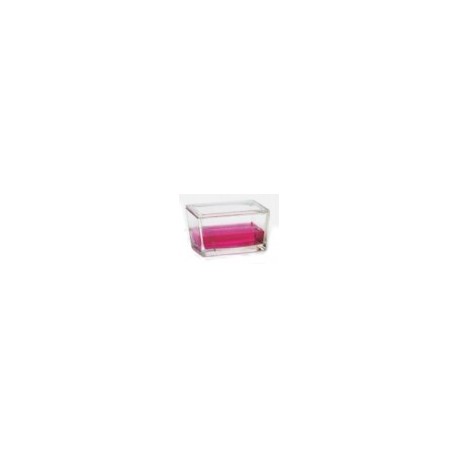 Caja Coplin Para 30 Porta Wheaton