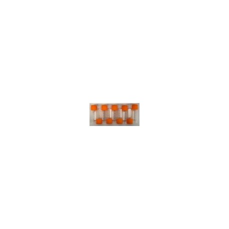 Criovial de pp 2.0ml f/conico Luzeren