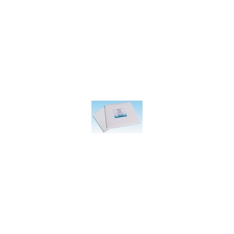 Membrana nytran de nylon 0.45um WHATMAN